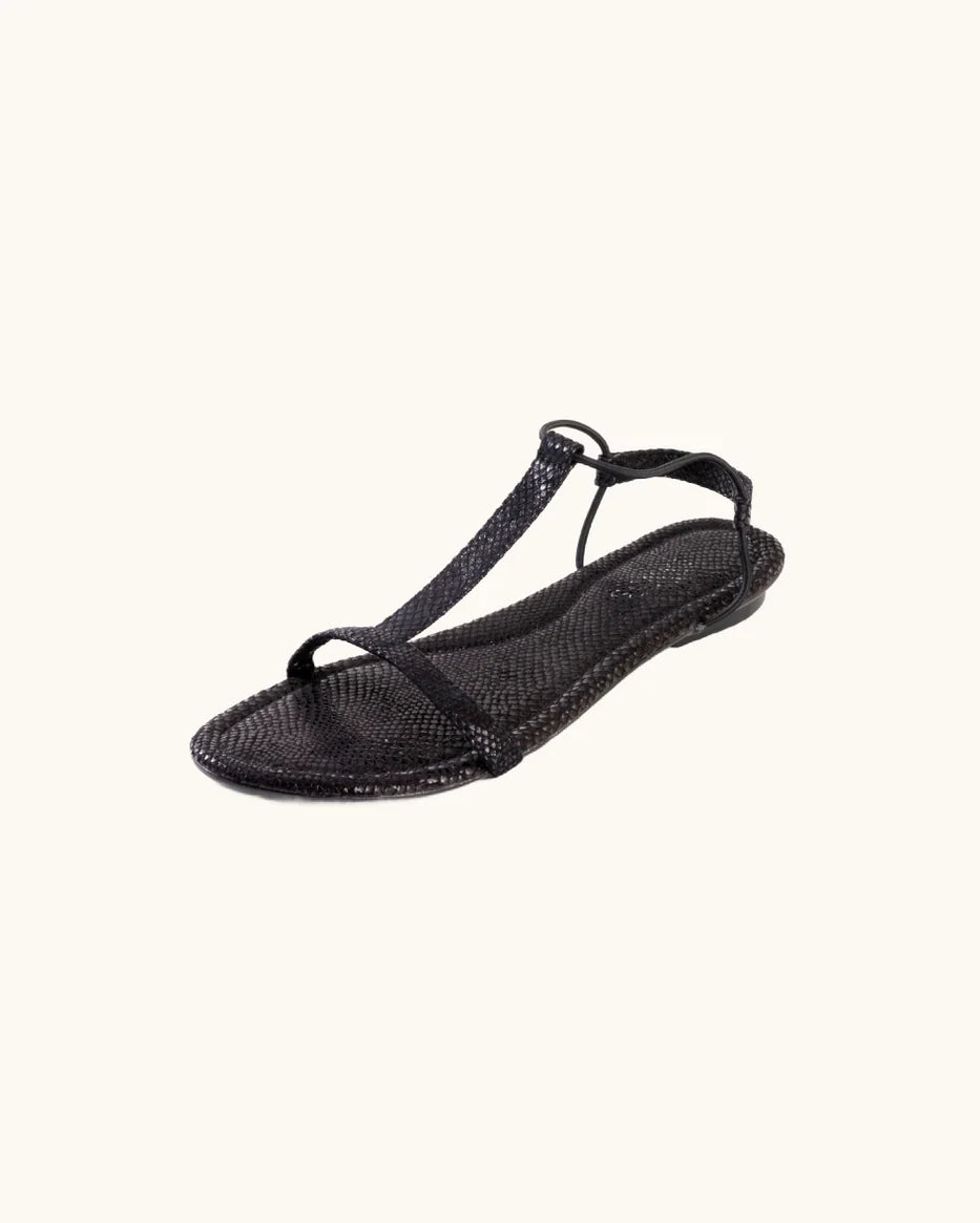 WILD LIZARD BLACK