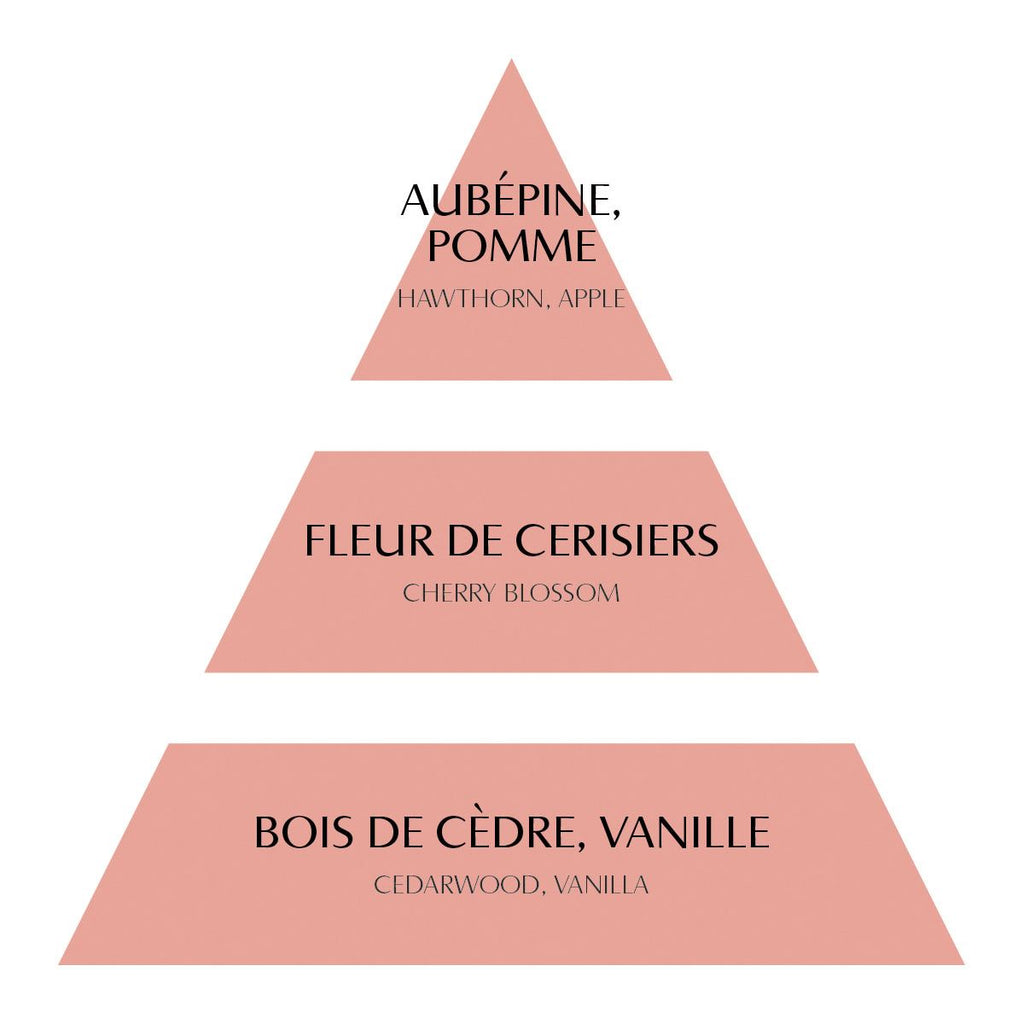 BOUGIE 145G FLEUR CERISIER