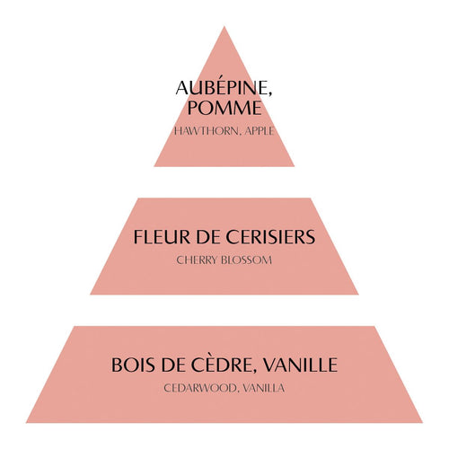 BOUGIE 145G FLEUR CERISIER